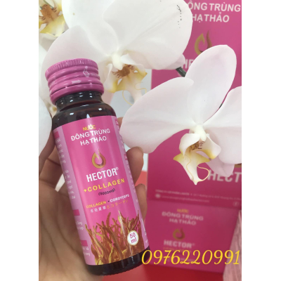 NƯỚC ĐÔNG TRÙNG HẠ THẢO HECTOR COLLAGEN